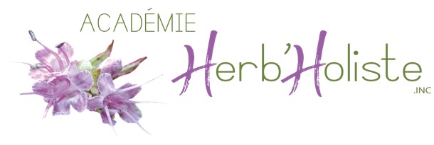 Logo Académie HerbHoliste.
